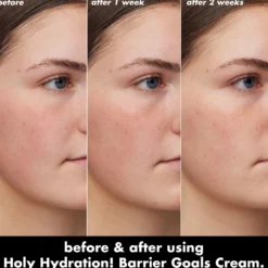 Holy Hydration! Barrier Goals Cream